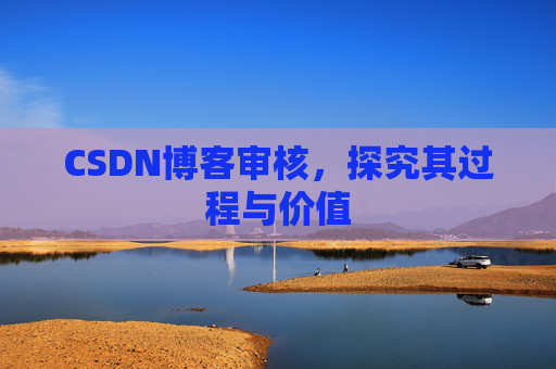 CSDN博客审核，探究其过程与价值